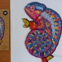 Hypnotický chameleon