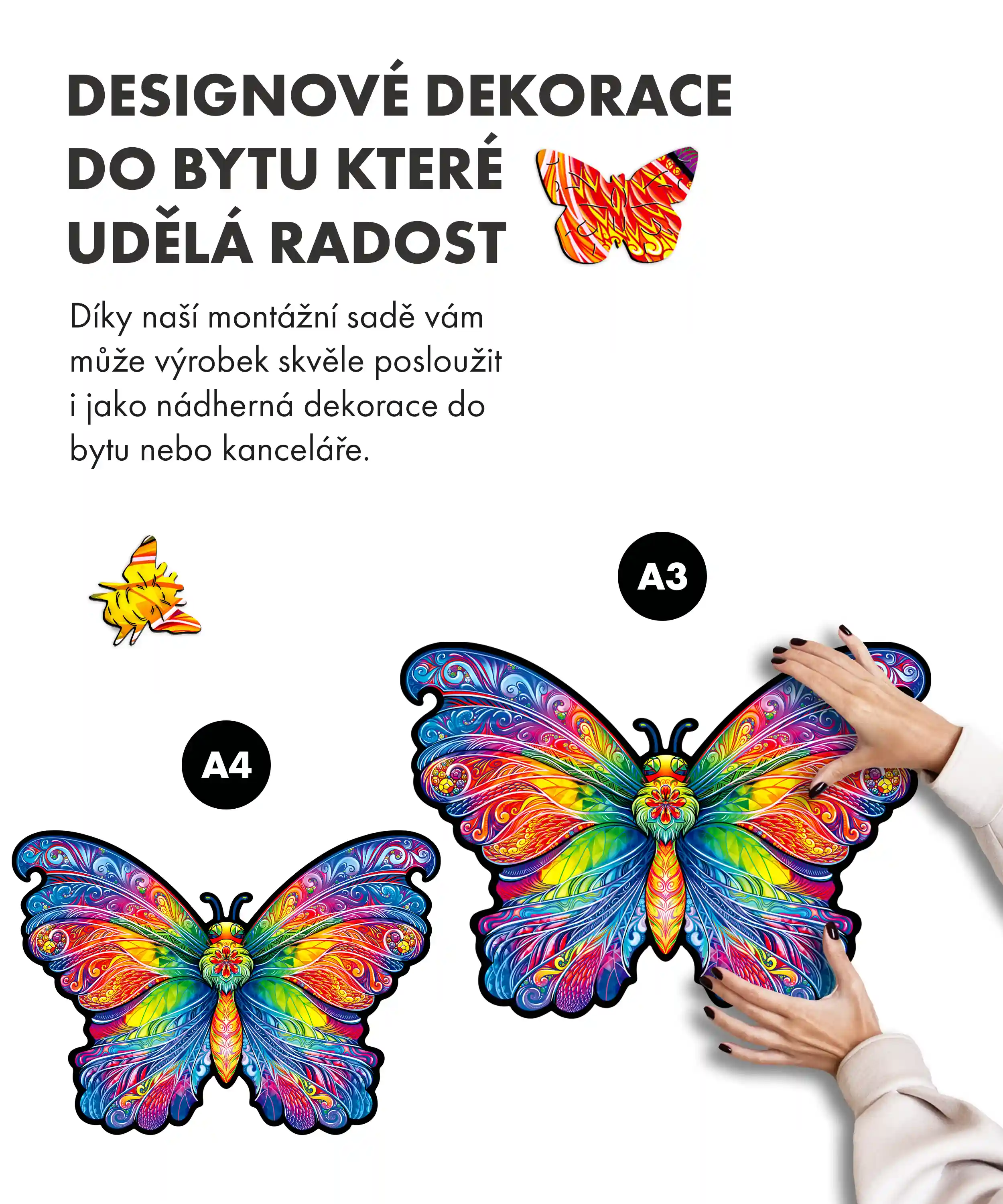 Duhový Motýl