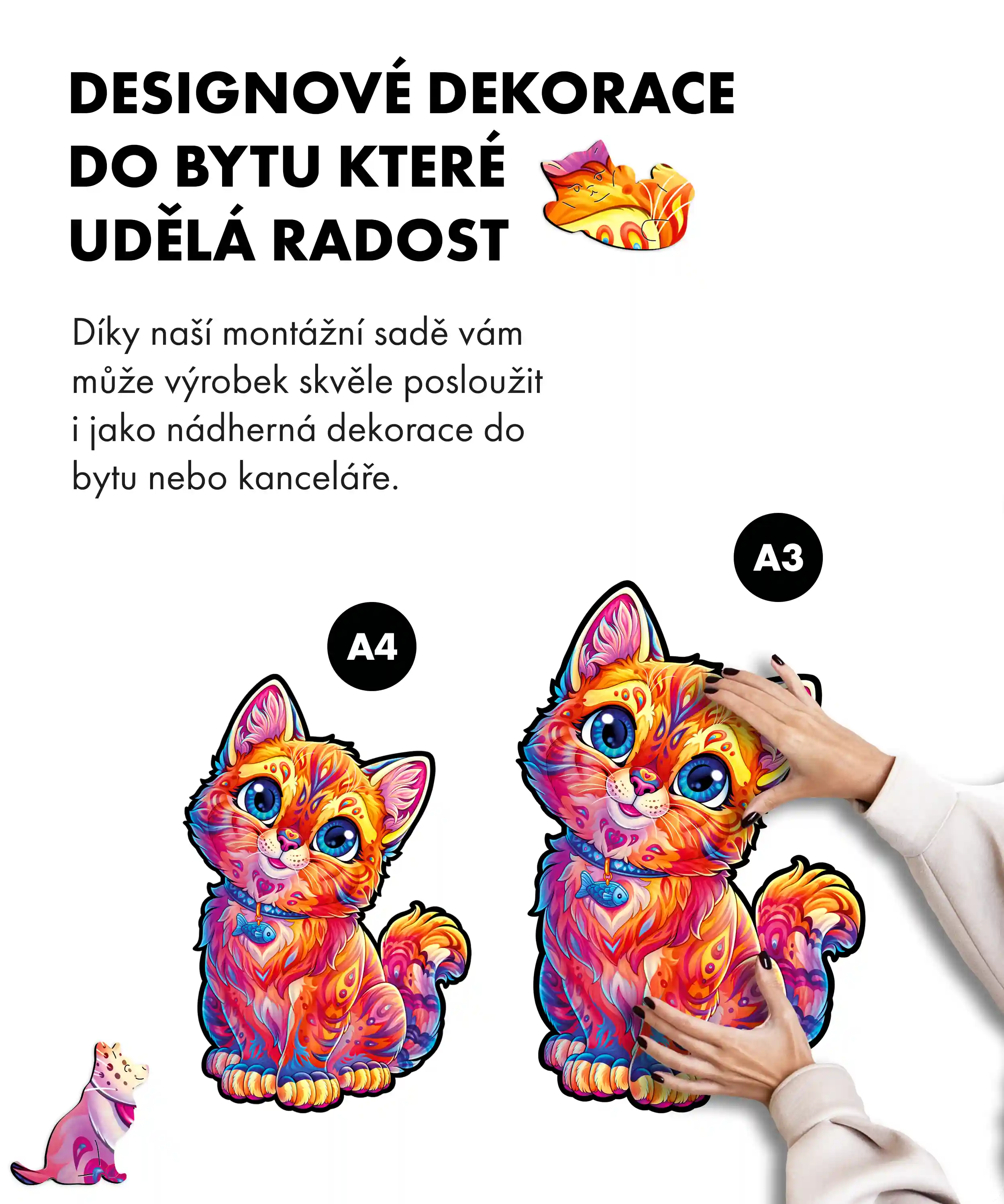 Roztomilá kočička