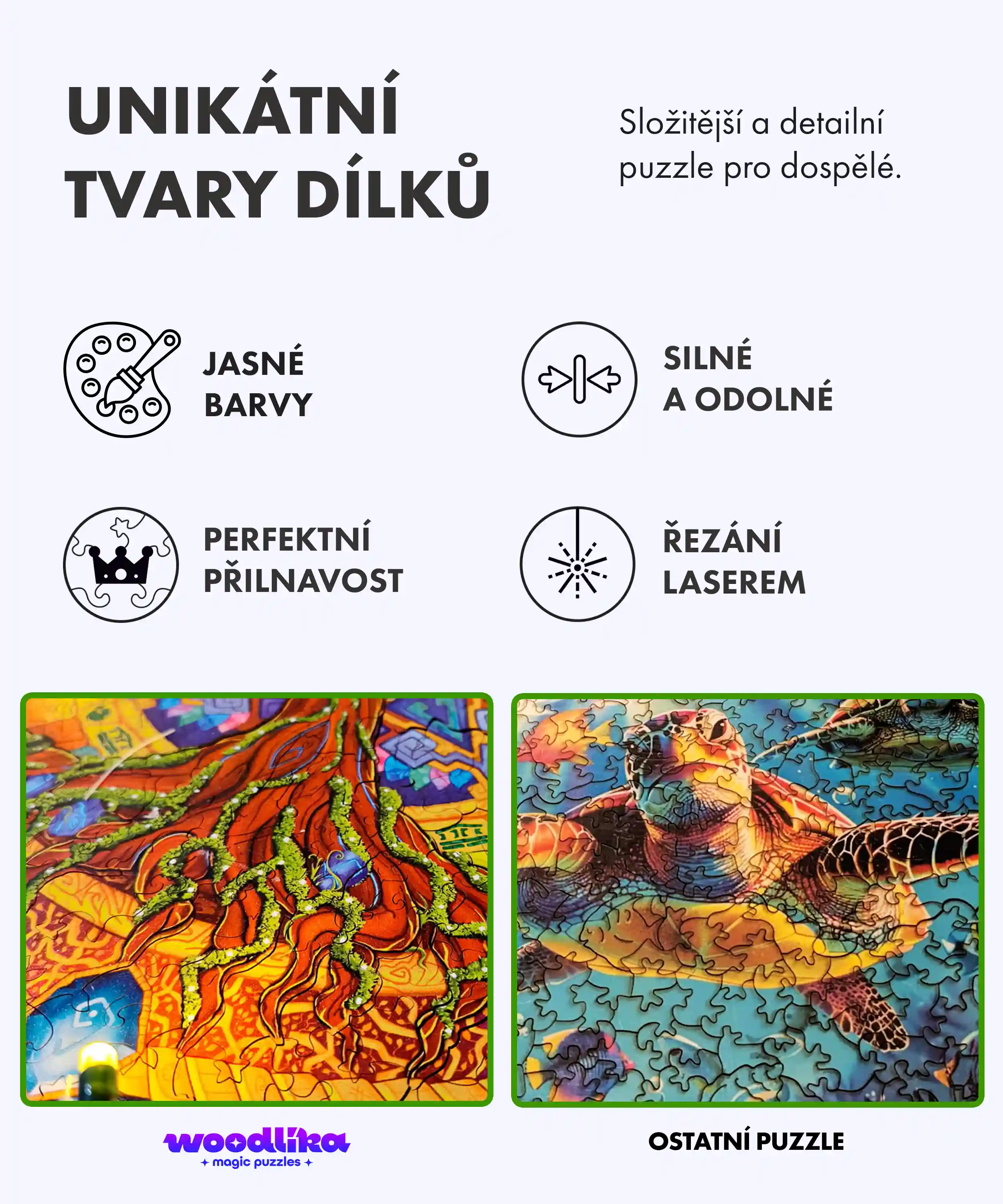 Draci čtyř živlů