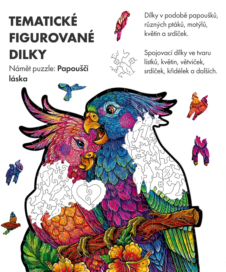 Papoušci lásky