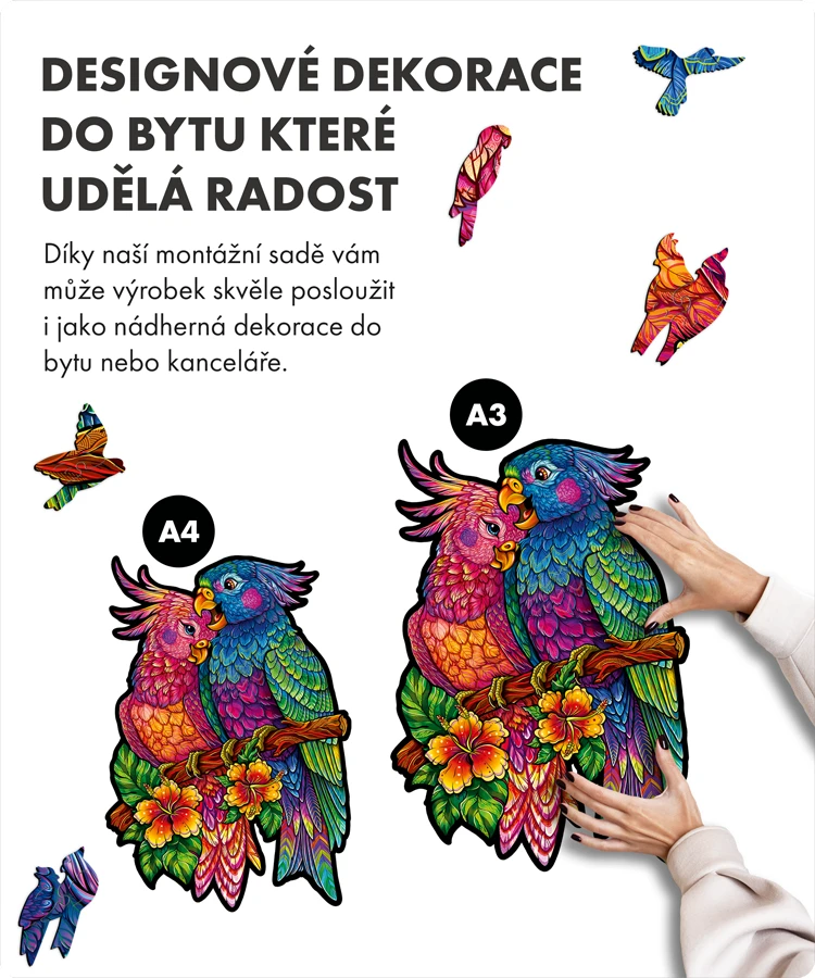 Papoušci lásky