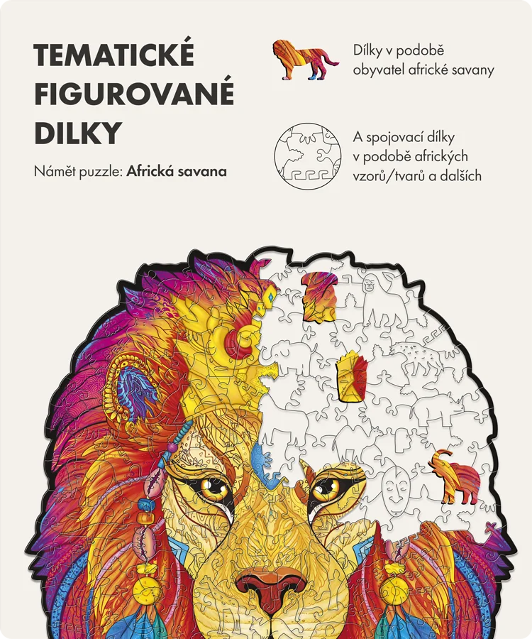 Tajemný lev